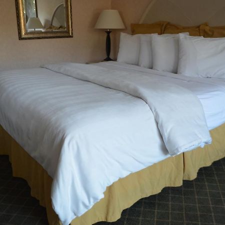 Chapel Hill University Inn Ngoại thất bức ảnh