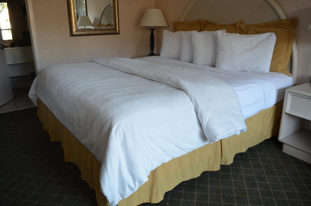 Chapel Hill University Inn Ngoại thất bức ảnh