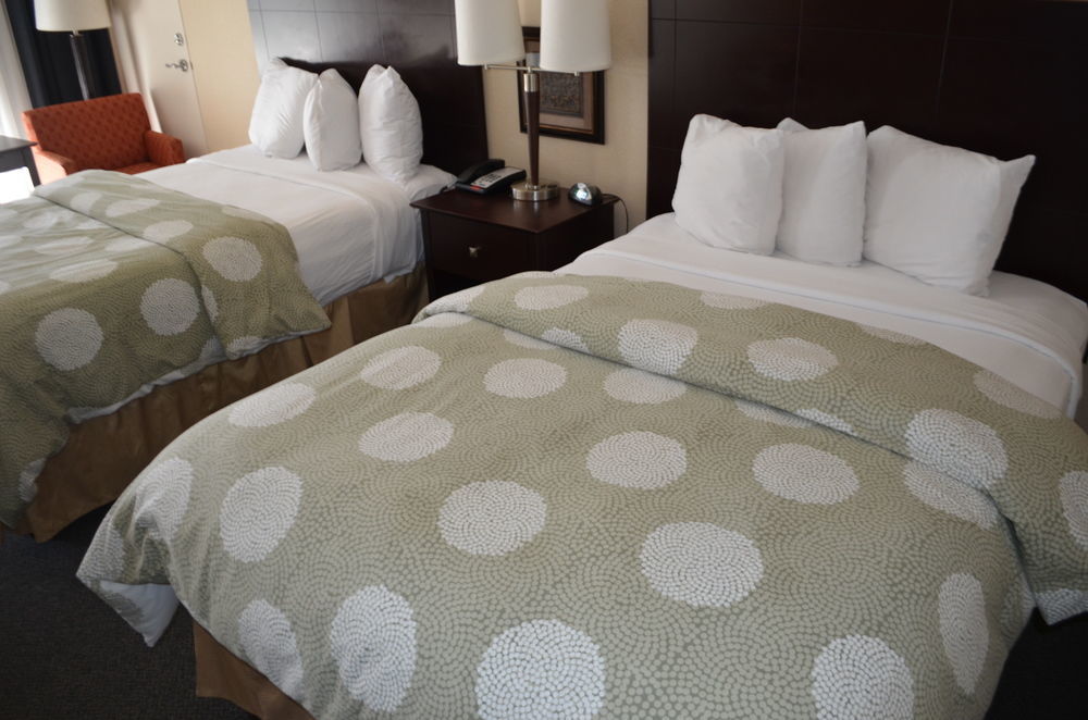 Chapel Hill University Inn Ngoại thất bức ảnh